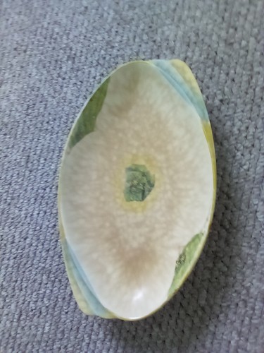 Vintage crown ducal oval - vintage,