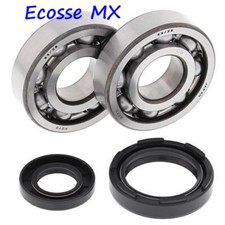 Yamaha WR250 1991-1997 All Balls Crank Bearings Crank Seal Kit 24-1027