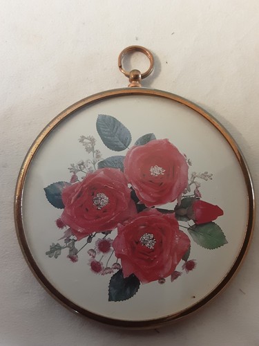 Red roses the - the, world