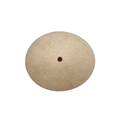 Replica ostrich egg speckled - ostrich,