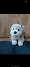 Husky With Lead Soft Toy