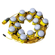 110V Outdoor Festoon Lights