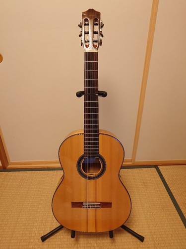 Cordoba flamenco guitar - cordoba, f7
