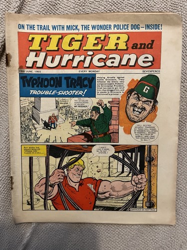 Tiger and hurricane - tiger,