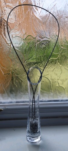 Clear glass bud vase with - glass,