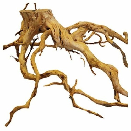 Azalea root natural aquarium - azalea,