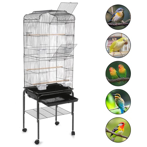 Extra large bird - large, cage