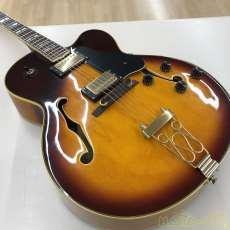 Vantage full hollow body - hollow,
