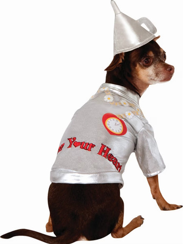 Wizard tin man dog - wizard,