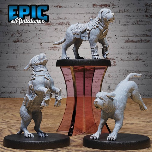 Raid dog dungeons - d&d,