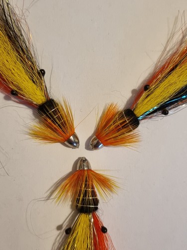 Castle stream shrimp - 3, x