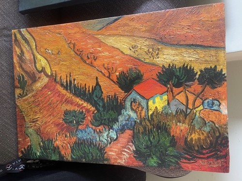 Vincent van gogh oil painting - gogh,