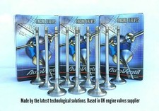 12 EXHAUST OUTLET VALVES FIT