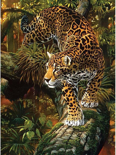 Paint numbers leopard - numbers,