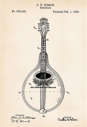 1898 gibson mandolin drawing - 1898,