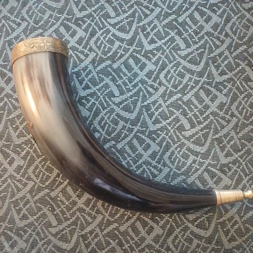 Viking drinking horn with - viking,