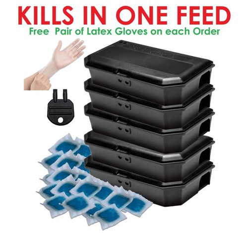 Mouse killer poison - poison, x