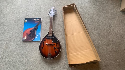 Mandolin musical - mandolin,