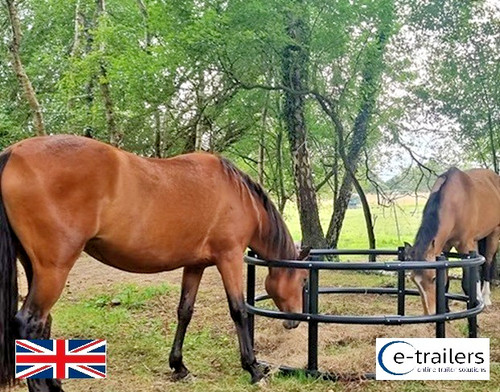 Ring round bale feeder - ring, horse
