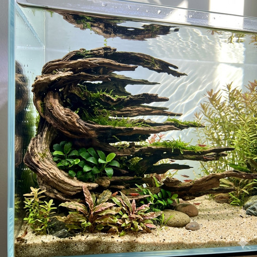 Driftwood root aquarium decor - driftwood,