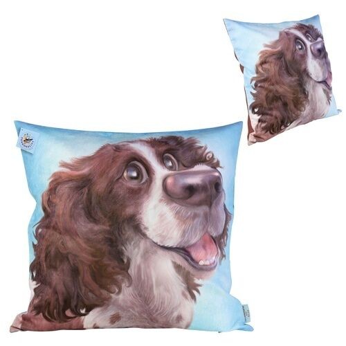 Pets with personality springer - pets,
