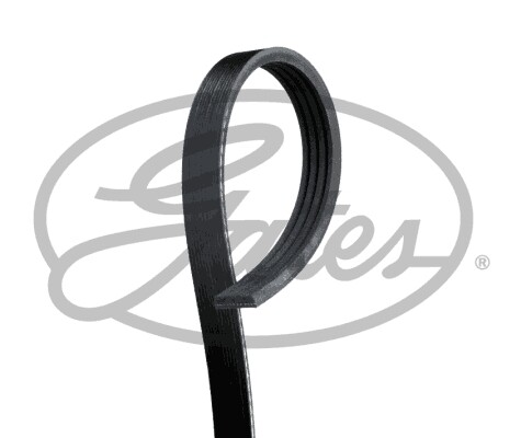 Gates 4pk923 ribbed - v-ribbed, belt