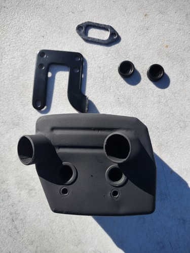 Dual port muffler for