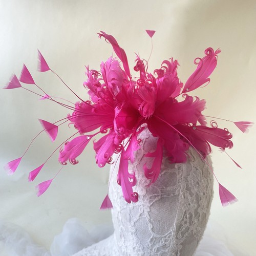 Creative twisted goose feather - goose,
