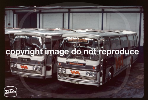 Original coach slide wallace - original,