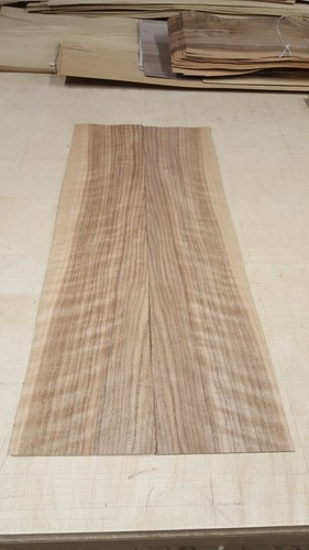European walnut veneer - european,