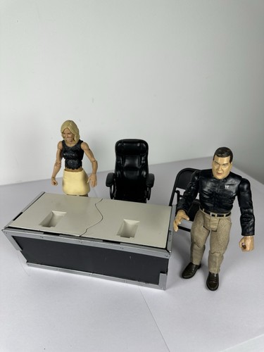 Wwe wrestling commentators - wrestling,