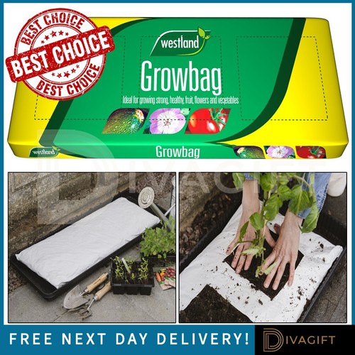 Compost grow bag plant fruit - compost,