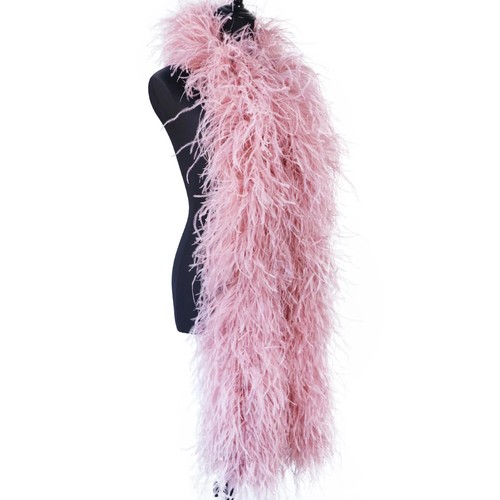 Farm ostrich feather - farm,