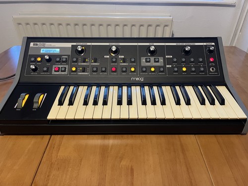 Moog little phatty - moog, (stage