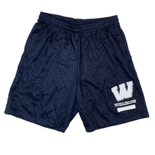 Vintage Alleson Men's Blue