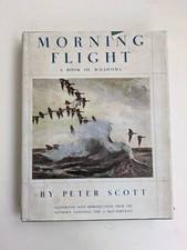 Morning Flight A Book Of Wildfowl By Peter Scott Illustrated W/ Paintings Prints