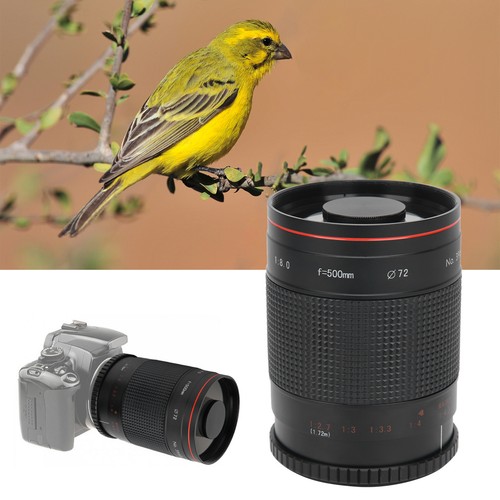 For nikon - for,