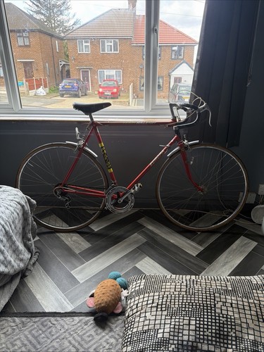 Speed 1980s raleigh racer - speed,