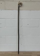 Rams Horn Curly Crook Walking