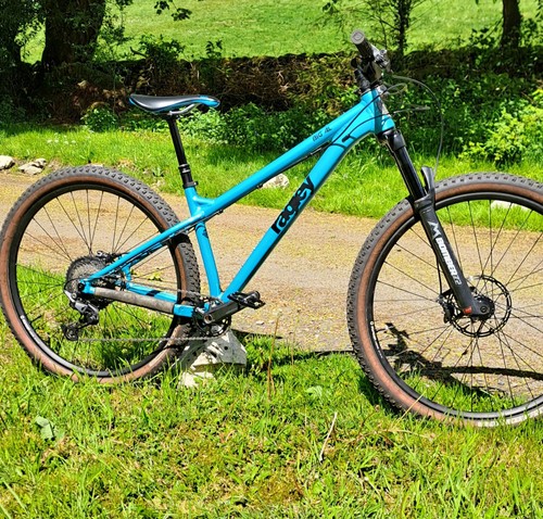 Ragley big mountain bike - big, al