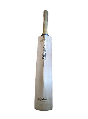 Newbery kudos sps cricket - newbery,