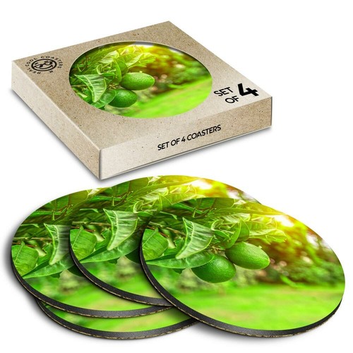 Boxed round coasters - x,