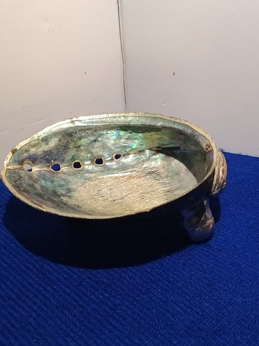 Abalone vintage polished - , shell