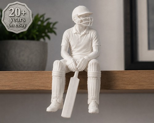 Cricket player ledge - cricket, sitter