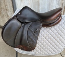 17” Voltaire Palm Beach