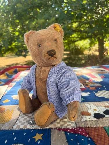 Steiff bear circ 1950 11 - bear,