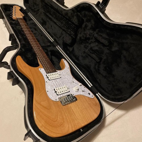 Guitar style electric - guitar, s-style