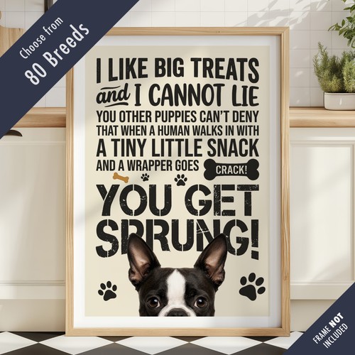 Funny dog treats lyric - funny, quote