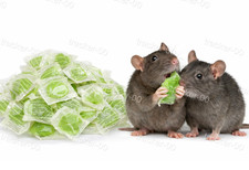 Strong Rat Poison Single Feed