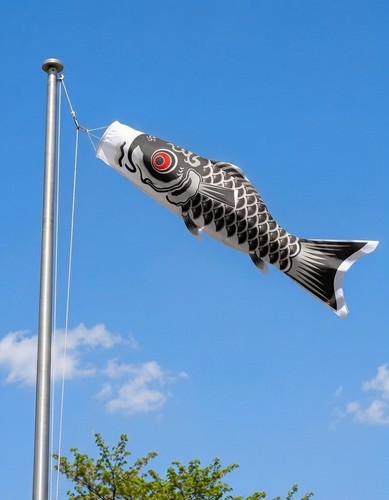 Japanese koi carp fish - japanese, flying